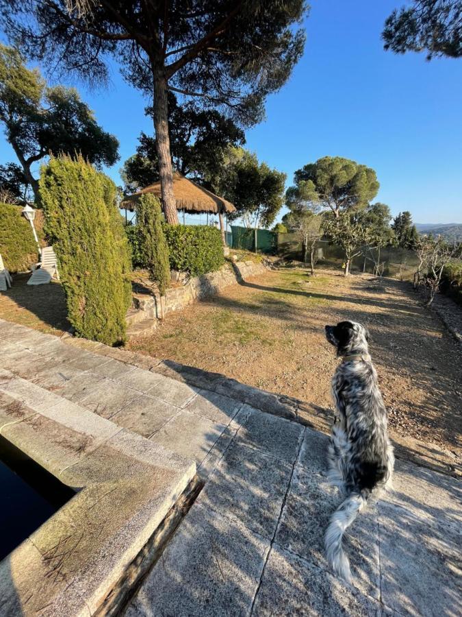 Villa Herlinda Costa Brava - With Swiming Pool Massanet De La Selva ภายนอก รูปภาพ