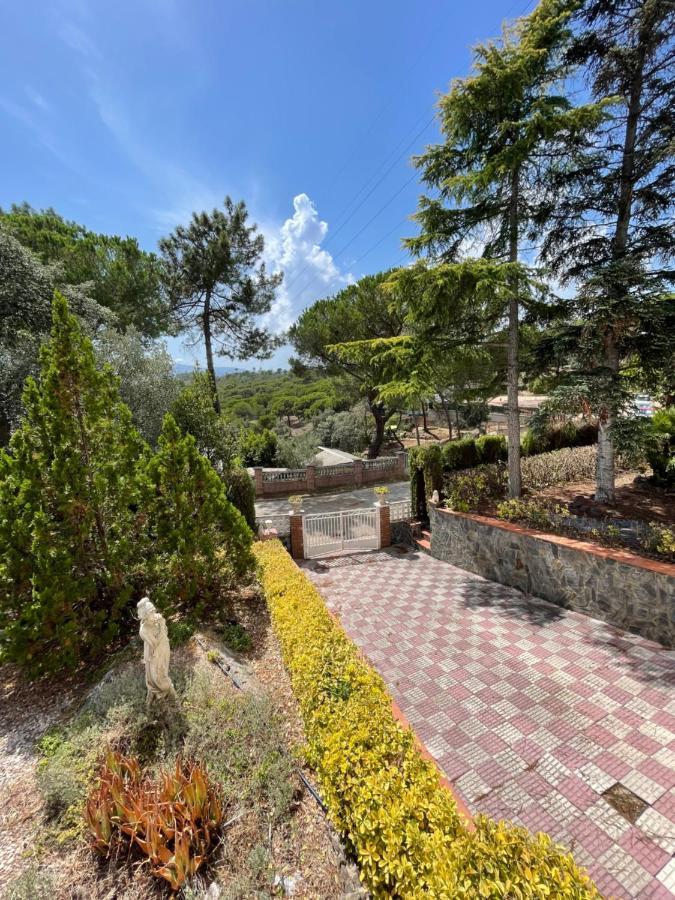 Villa Herlinda Costa Brava - With Swiming Pool Massanet De La Selva ภายนอก รูปภาพ