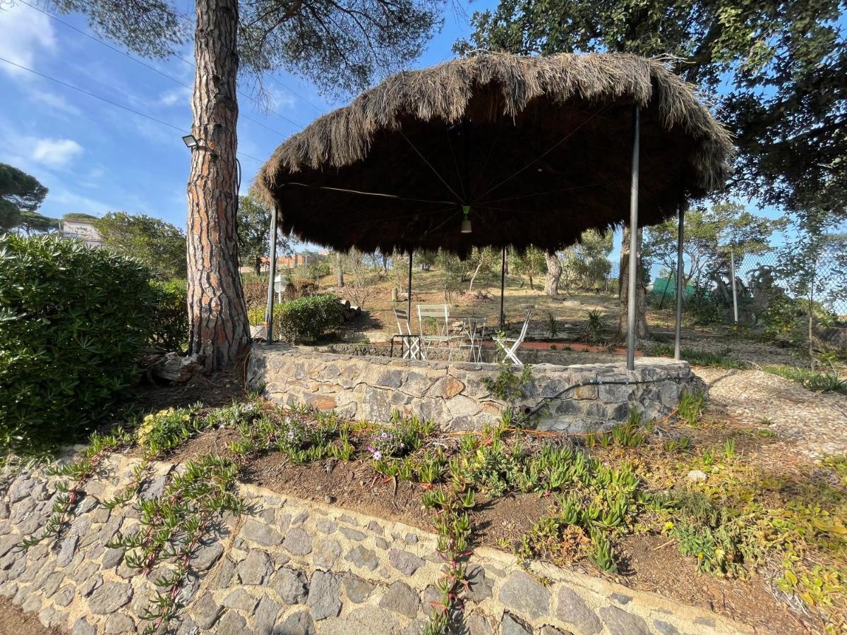 Villa Herlinda Costa Brava - With Swiming Pool Massanet De La Selva ภายนอก รูปภาพ